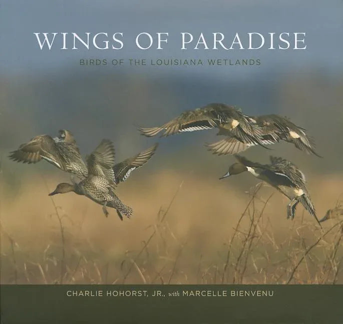 Wings of Paradise: Birds of the Louisiana Wetlands - stevensbooks