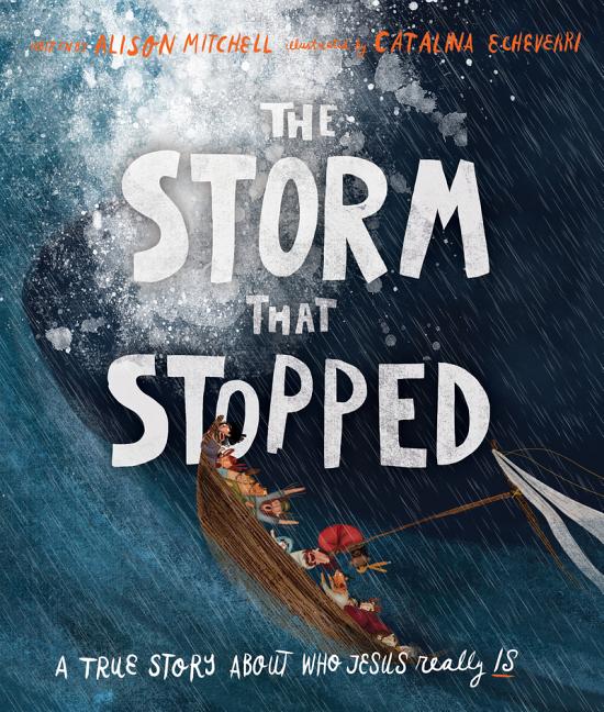 Storm That Stopped Storybook: A True Story about Who Jesus Really Is - Ingram