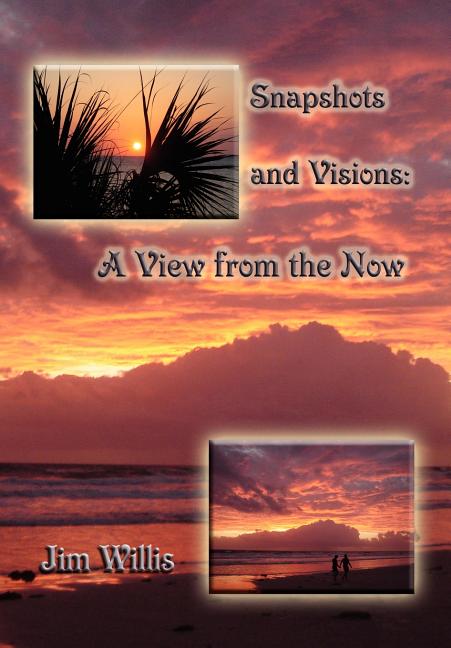 Snapshots and Visions: A View from the Now - Ingram
