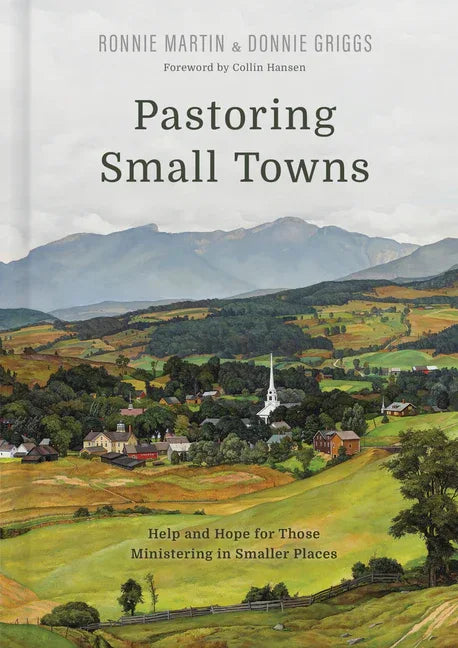 Pastoring Small Towns: Help and Hope for Those Ministering in Smaller Places - stevensbooks