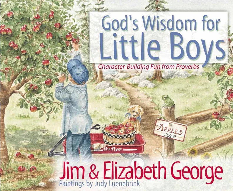 God's Wisdom for Little Boys: Character-Building Fun from Proverbs - stevensbooks