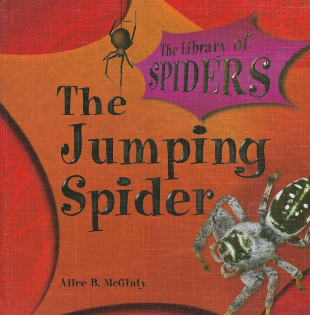 Jumping Spider - stevensbooks