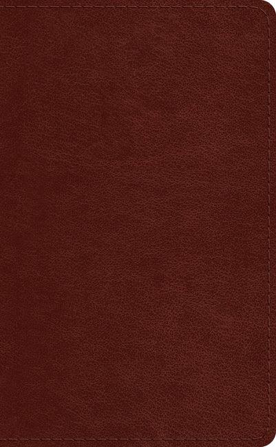 ESV Pocket Bible (Trutone, Chestnut) - stevensbooks