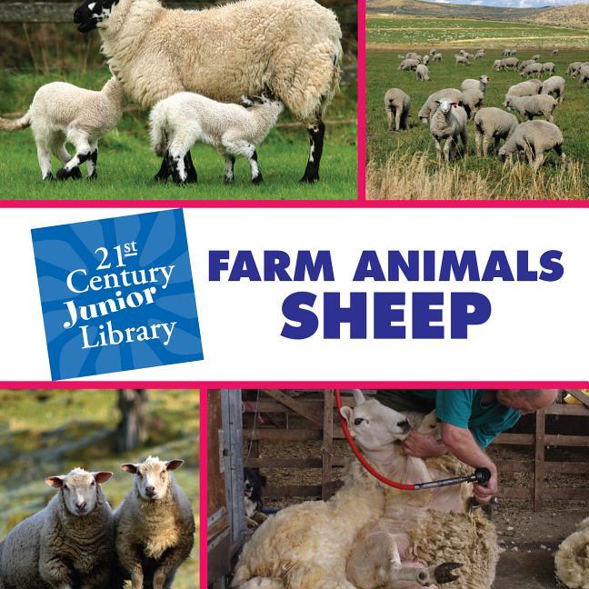 Farm Animals: Sheep - stevensbooks