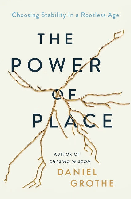 Power of Place: Choosing Stability in a Rootless Age - Ingram