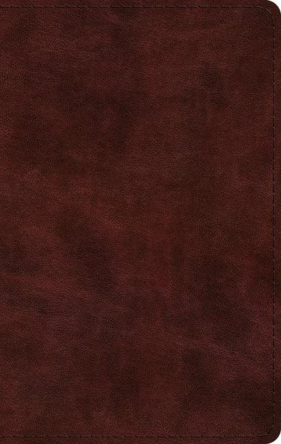 ESV Large Print Thinline Bible (Trutone, Mahogany) - stevensbooks