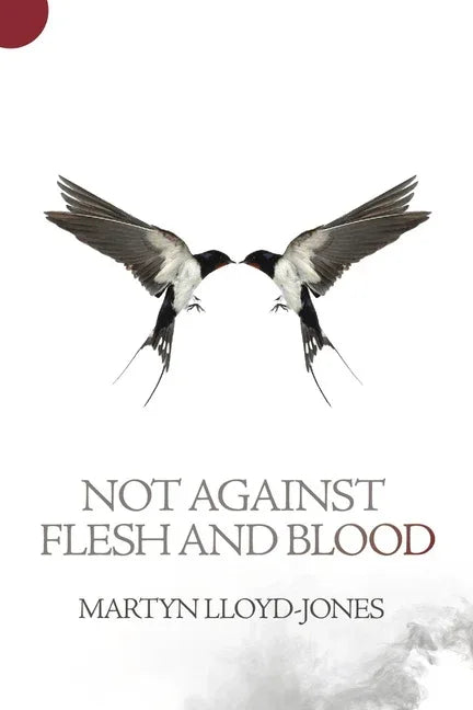 Not Against Flesh and Blood: The Battle Against Spiritual Wickedness in High Places - stevensbooks