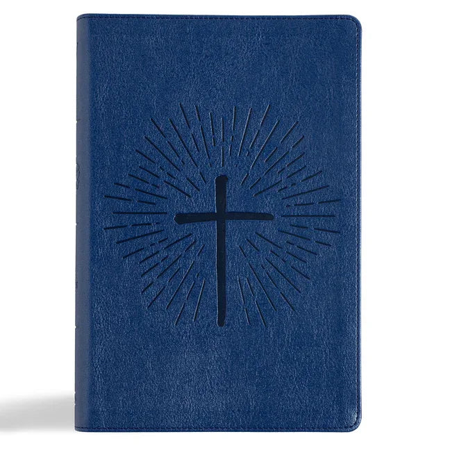 KJV One Big Story Bible, Royal Blue Leathertouch: Connecting Christ Throughout God's Story - stevensbooks