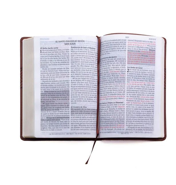 Santa Biblia de Promesas Reina Valera 1960 / Letra Gigante - 13 Puntos / Piel Especial Con Índice Y Cierre / Café // Spanish Promise Bible Rvr 1960 / - stevensbooks