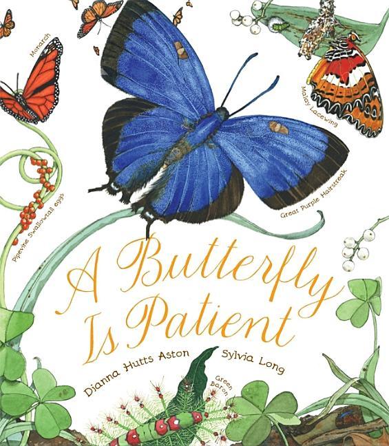 Butterfly Is Patient - stevensbooks