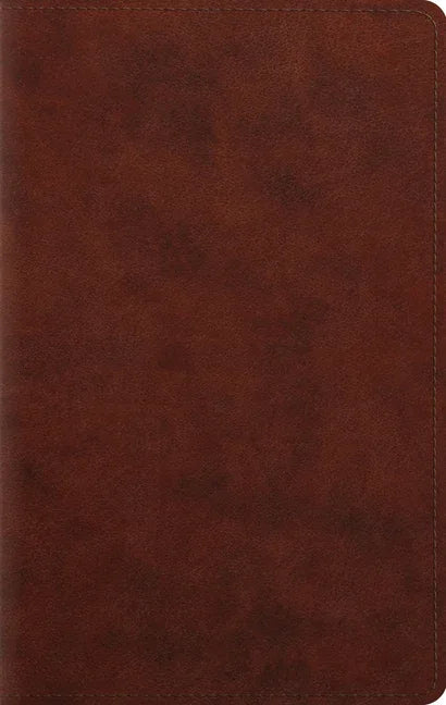 Large Print Personal Size Bible-ESV - stevensbooks