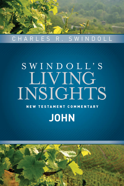 Insights on John - Ingram