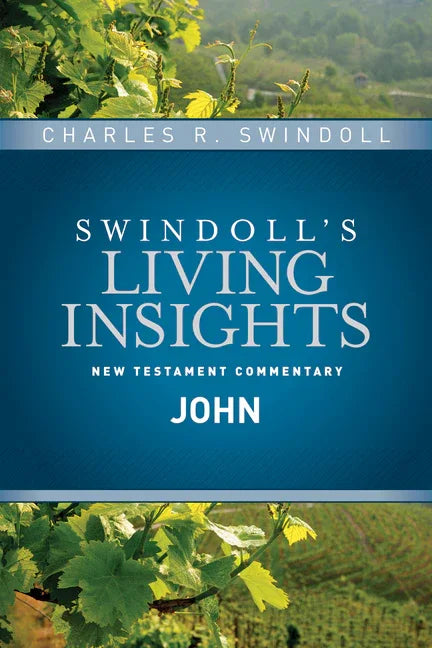 Insights on John - stevensbooks