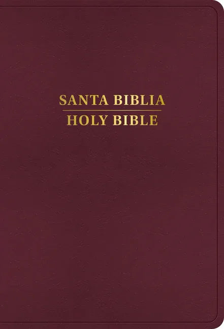 Rvr 1960/KJV Biblia Bilingüe Letra Grande, Borgoña Imitación Piel Con Índice (Edición 2024) (Edicion 2024) - stevensbooks