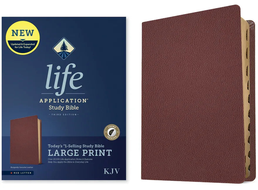 KJV Life Application Study Bible, Third Edition, Large Print (Genuine Leather, Burgundy, Indexed, Red Letter) - stevensbooks