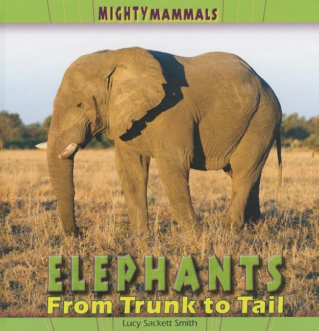 Elephants - stevensbooks