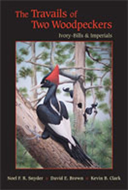 Travails of Two Woodpeckers: Ivory-Bills & Imperials - Ingram