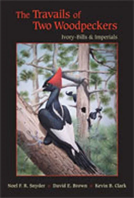 Travails of Two Woodpeckers: Ivory-Bills & Imperials - stevensbooks