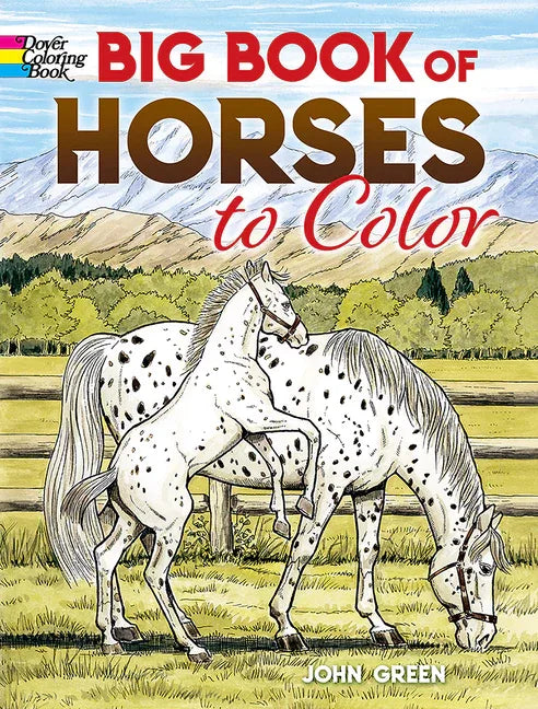 Big Book of Horses to Color - stevensbooks