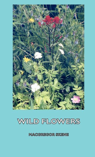 Wild Flowers - stevensbooks