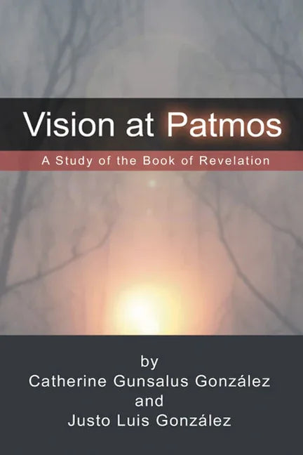 Vision at Patmos - stevensbooks