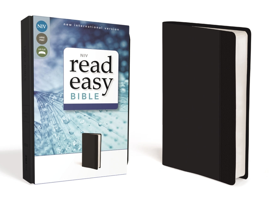 Readeasy Bible-NIV - Ingram