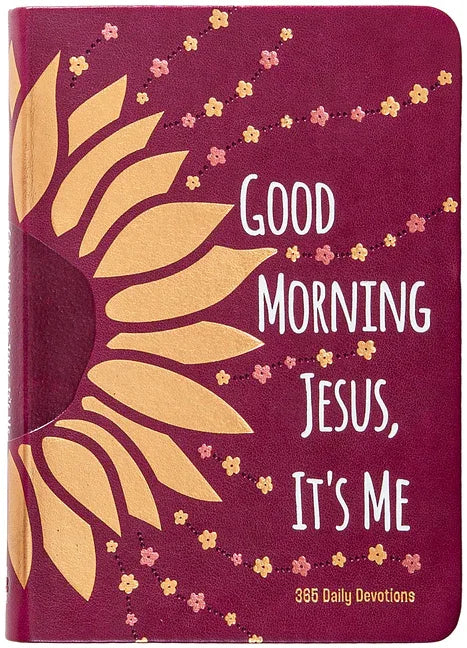 Good Morning Jesus It's Me: 365 Daily Devotions - stevensbooks