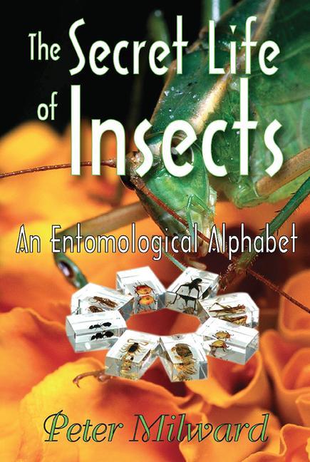 Secret Life of Insects: An Entomological Alphabet - Ingram