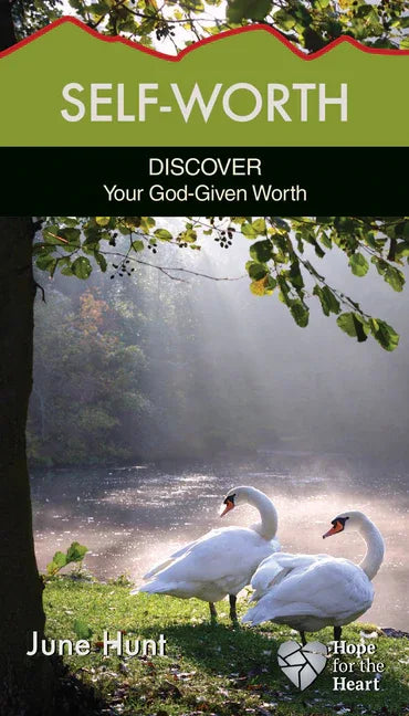 Self-Worth: Discover Your God-Given Worth - stevensbooks