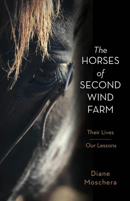 Horses of Second Wind Farm: Their Lives - Our Lessons - stevensbooks