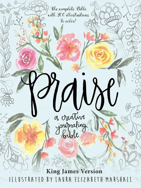 Praise: A Creative Journaling Bible (Skyhorse Stationary) - stevensbooks