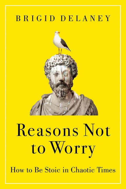 Reasons Not to Worry: How to Be Stoic in Chaotic Times - stevensbooks