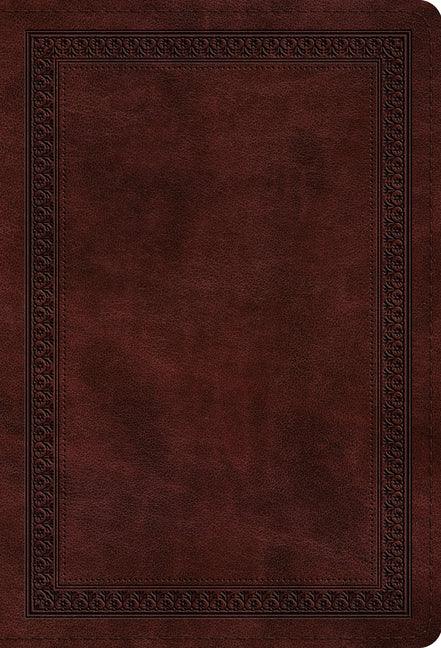 Value Compact Bible-ESV-Border Design - stevensbooks