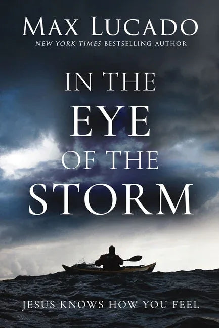 In the Eye of the Storm: Jesus Knows How You Feel - stevensbooks