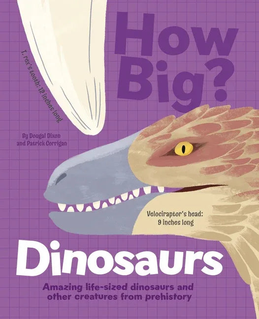 How Big? Dinosaurs: Amazing Life-Sized Dinosaurs and Other Creatures from Prehistory - stevensbooks