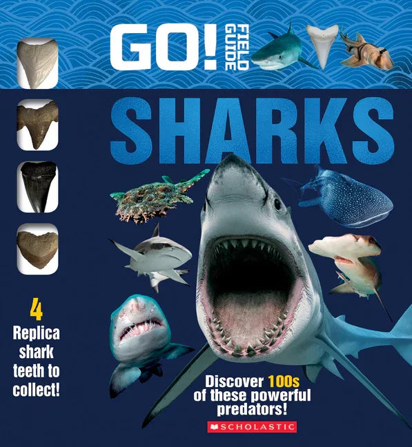 Go! Field Guide: Sharks - stevensbooks