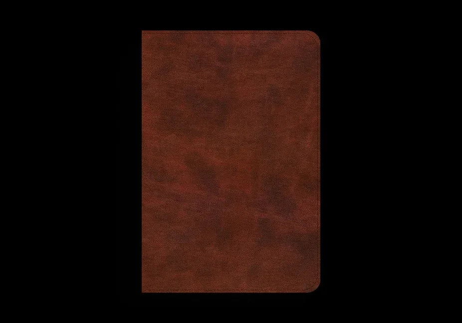 ESV Bible Promises: 700 Passages to Strengthen Your Faith (Trutone, Brown) - stevensbooks