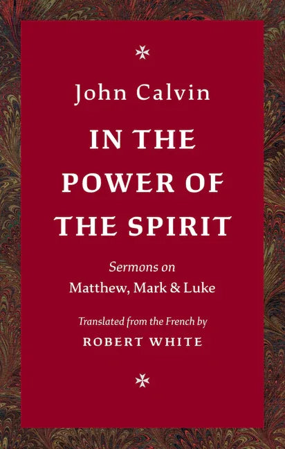 In the Power of the Spirit: Sermons on Matthew, Mark & Luke - stevensbooks