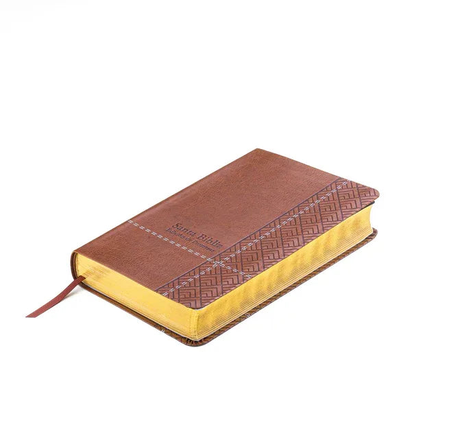 Biblia de Promesas Reina Valera 1960 / Tamaño Manual / Letra Grande / Piel Especial / Café // Spanish Promise Bible Rvr60 / Handy Size / Large Print / - stevensbooks