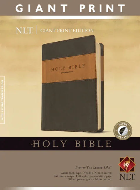 Giant Print Bible-NLT - stevensbooks