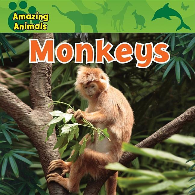 Monkeys - stevensbooks