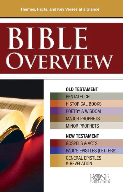 Bible Overview: Know Themes, Facts, and Key Verses at a Glance - stevensbooks