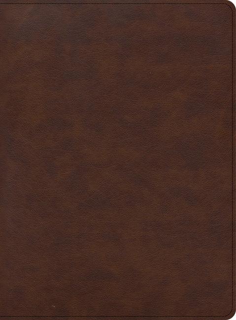 CSB Apologetics Study Bible for Students, Brown Leathertouch - stevensbooks
