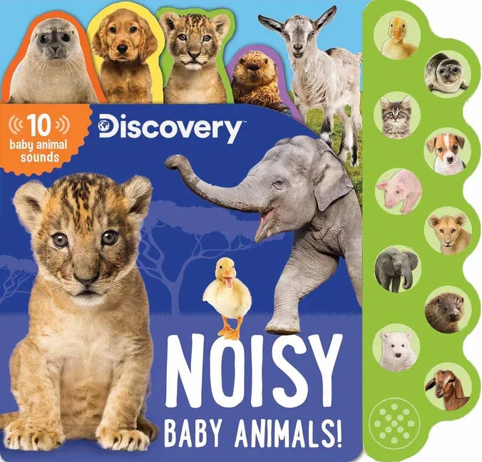 Discovery: Noisy Baby Animals! - stevensbooks