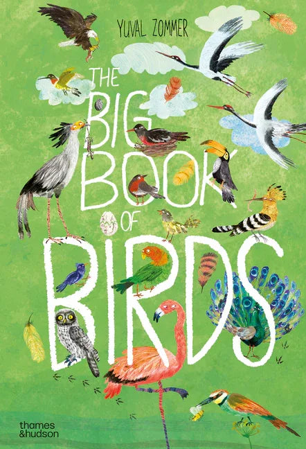 Big Book of Birds - stevensbooks