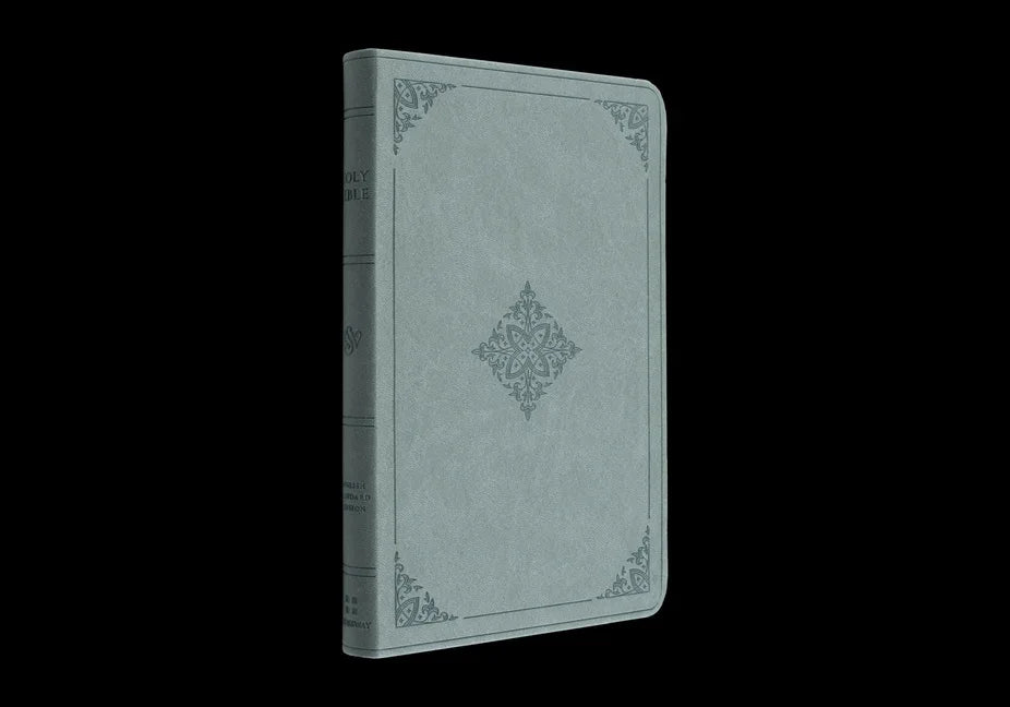 ESV Value Thinline Bible (Trutone, Paris Sky, Fleur-De-Lis Design) - stevensbooks