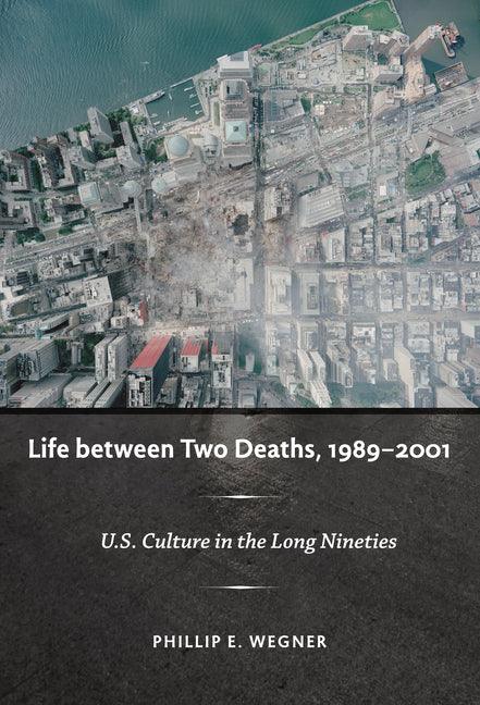 Life Between Two Deaths, 1989-2001: U.S. Culture in the Long Nineties - stevensbooks