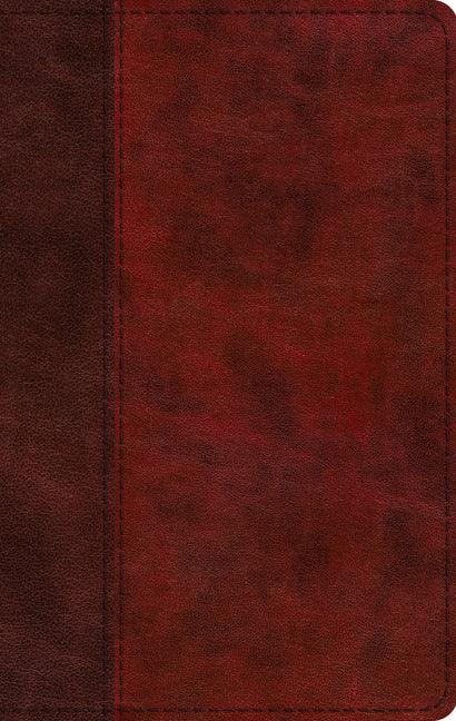 ESV Large Print Thinline Bible (Trutone, Burgundy/Red, Timeless Design) - stevensbooks