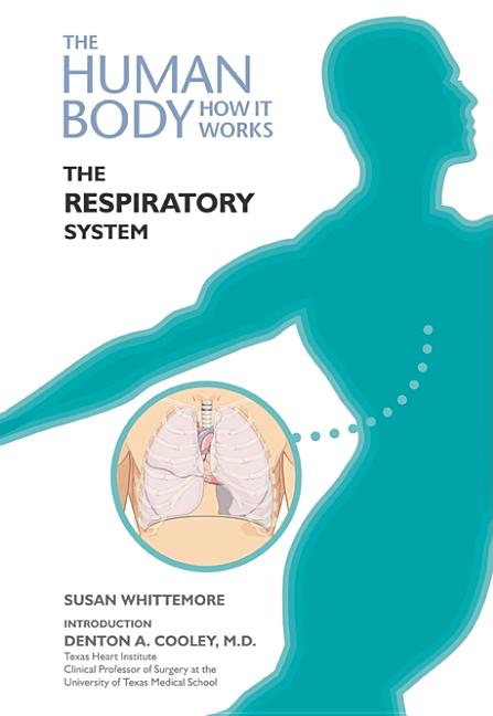 Respiratory System - Ingram