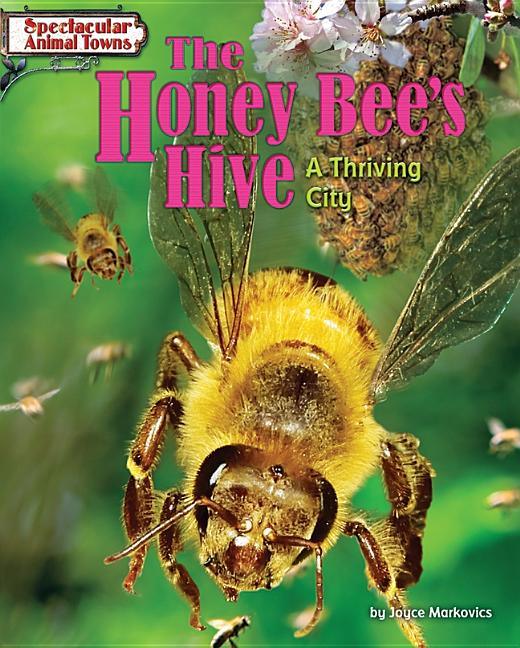 Honey Bee's Hive: A Thriving City - stevensbooks